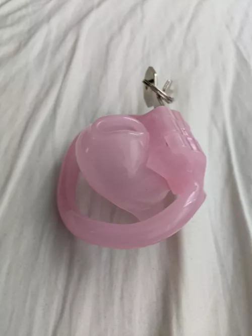 Just got an even tinier cage for my clitty π€€, but it's so small I'm scared to try it on. Who wants to make me do it π