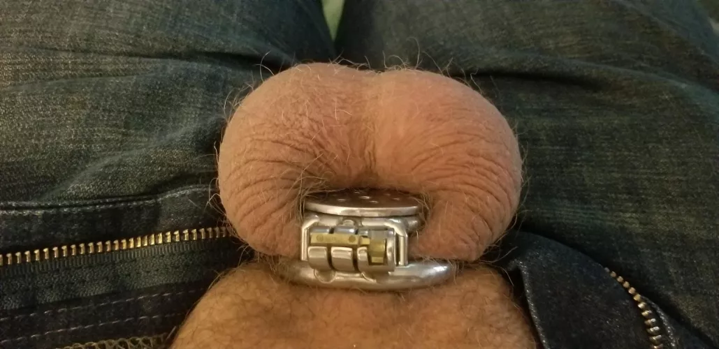 Just got my new cage.