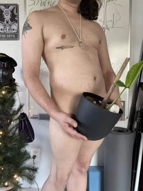 Just hanging out with my Bird of Paradise :) my boss gave it to me and it’s growing pretty well!