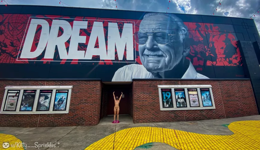 Just living the dream!… on one of the busiest roads in the city… (=^•^=) [f]