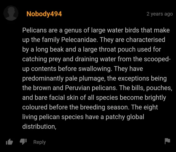 just some fun facts about pelicans