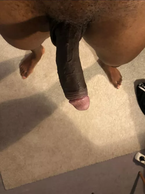 Just want to bend someone over and give them my 🍆