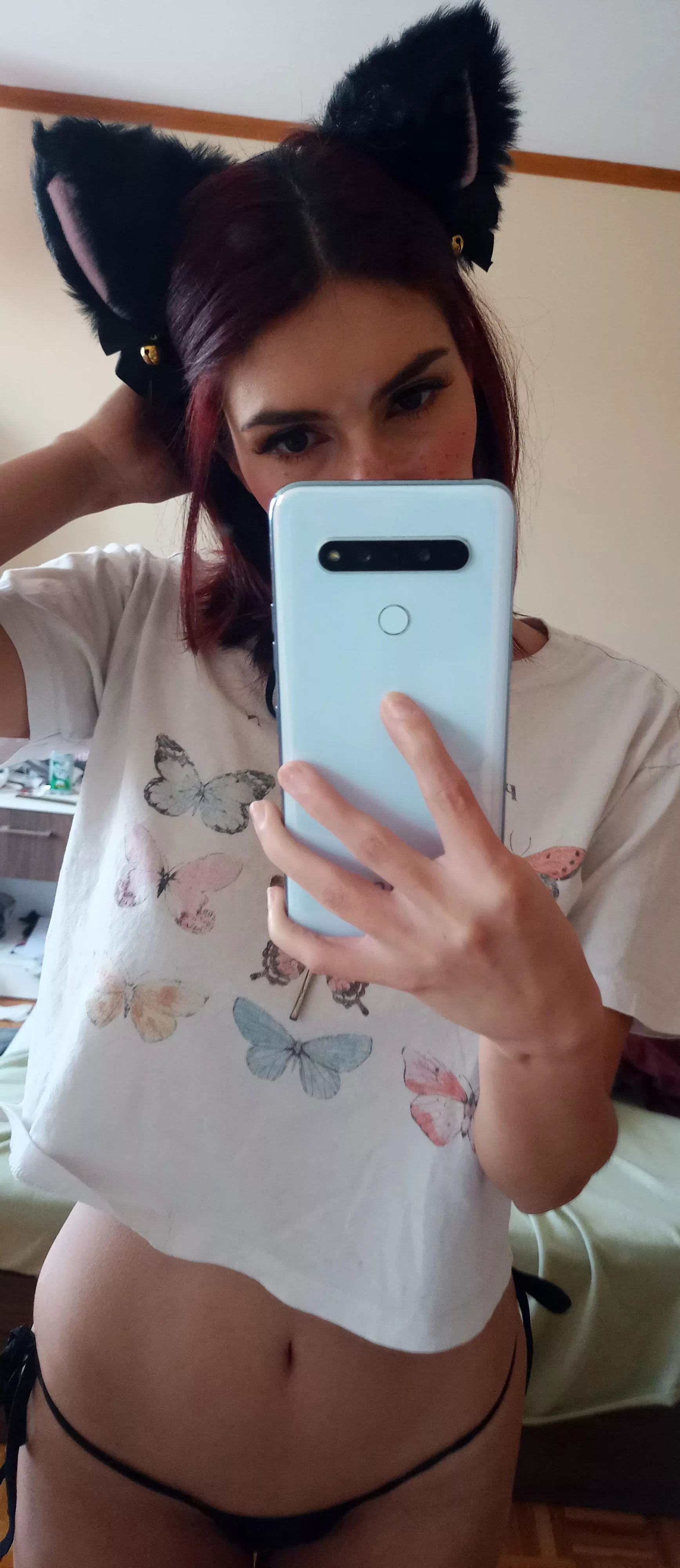 kitty and butterflies kitty and butterflies