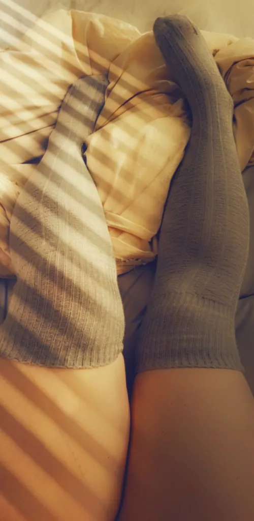 Kitty with a sock fetish reporting for praise