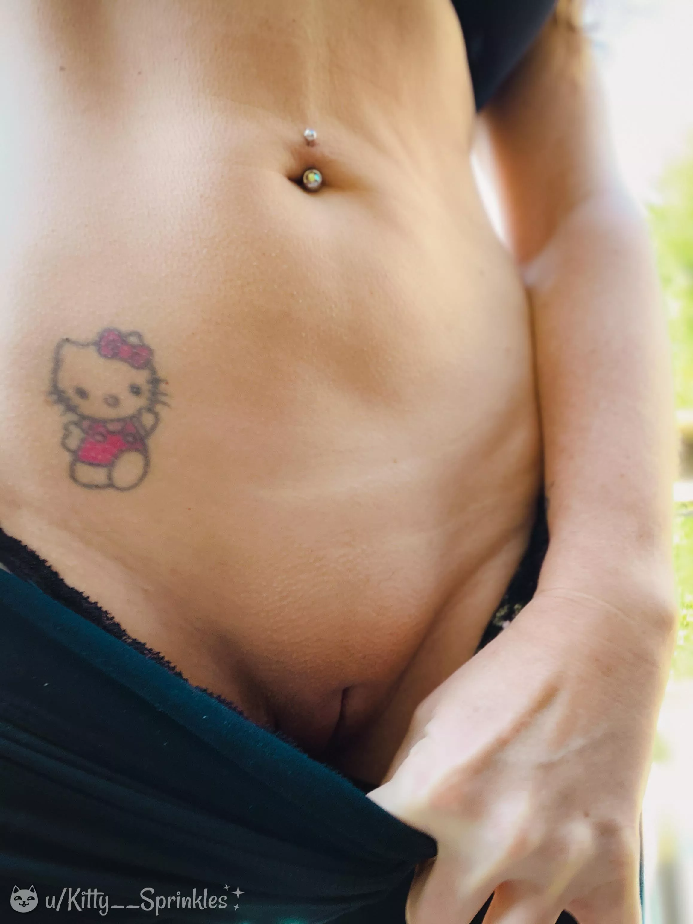 Kitty’s just wanted to say hi. (=^•^=) [f]