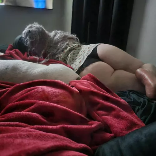 laying next to her...off limits to me