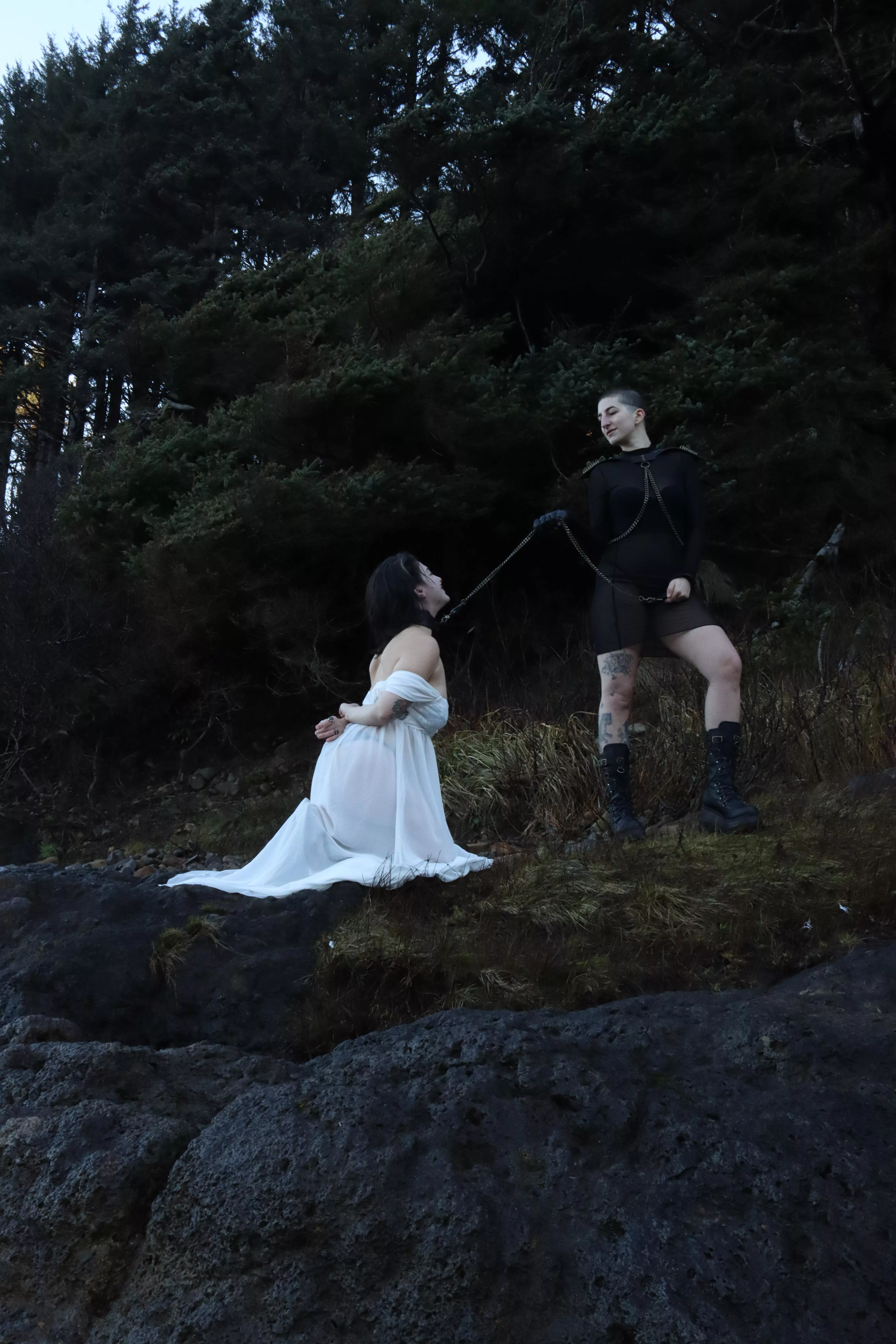 Leading a pet through the wilderness 🍃