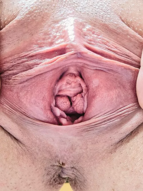 let me show you the inside