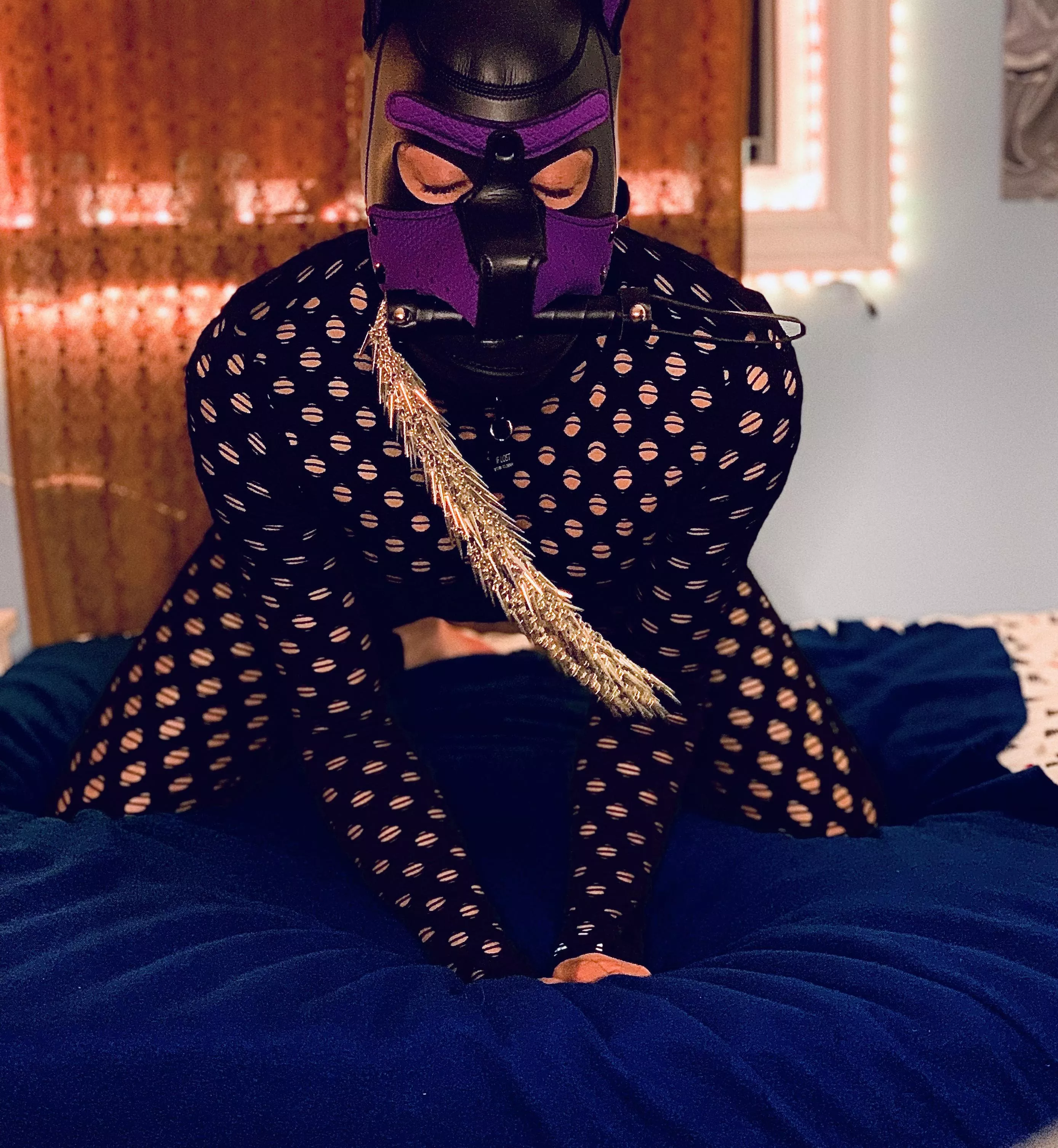 Let’s play fetch 🐾