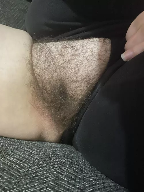 Letting my fat hairy cat out for some air ;)