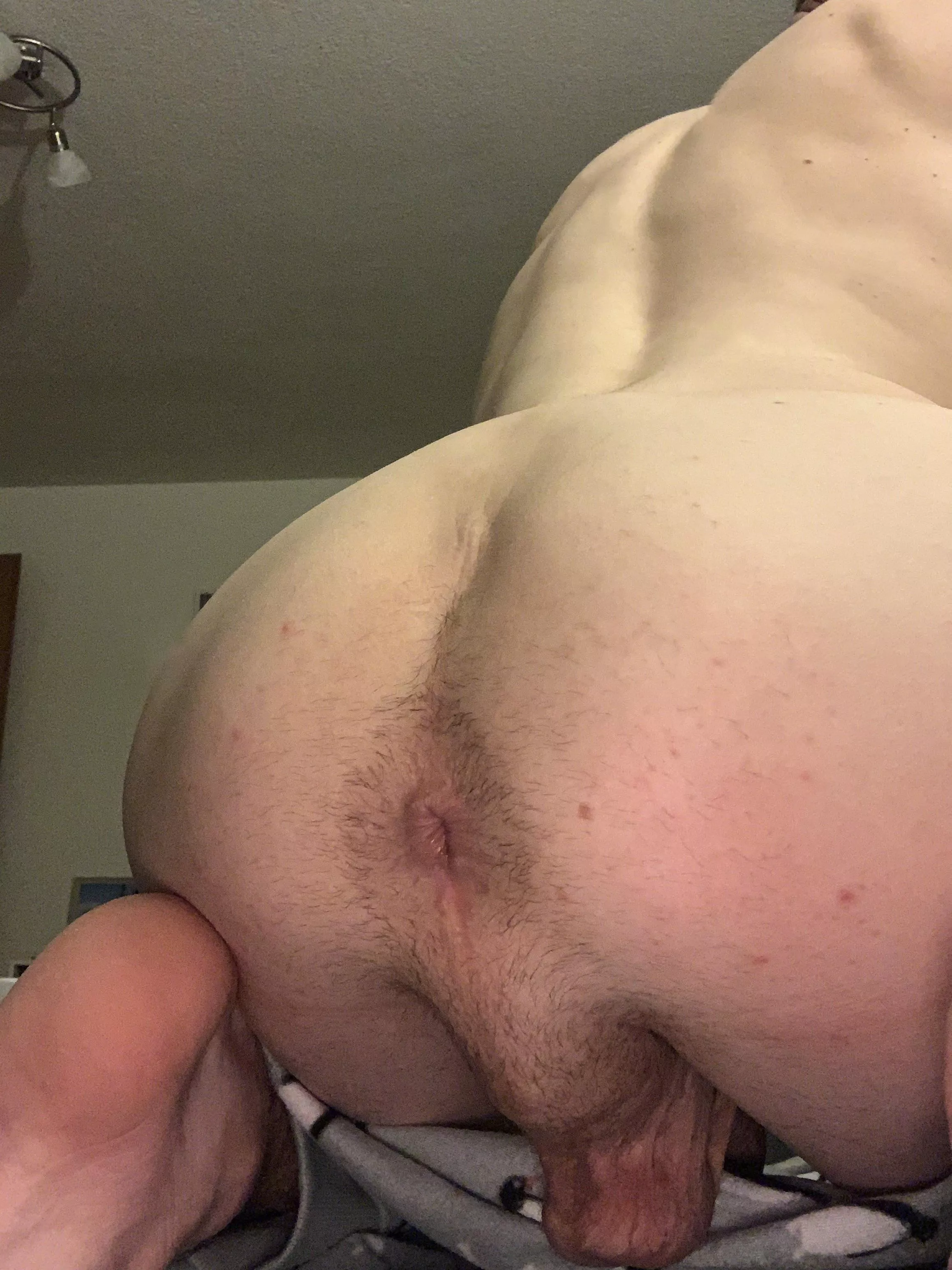 Letting my fur grow again