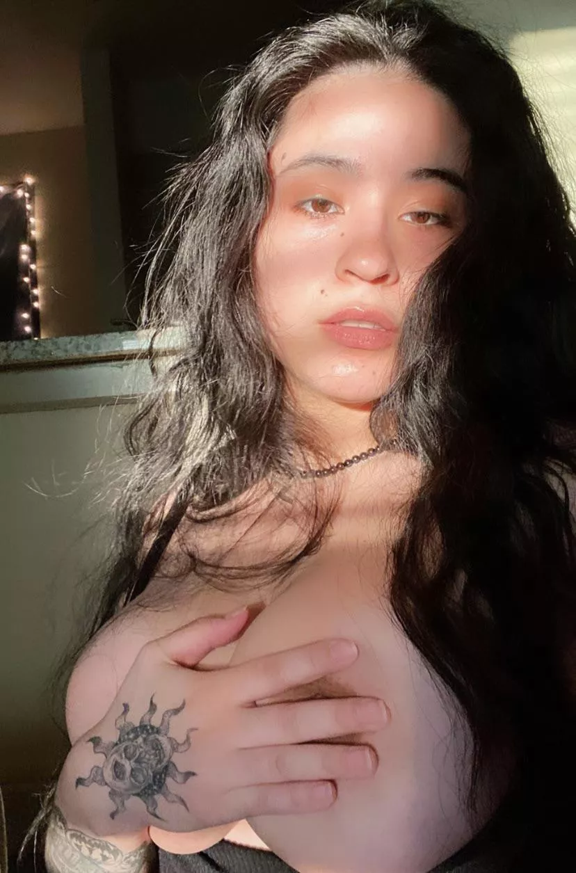 letting some sunlight in ☀️