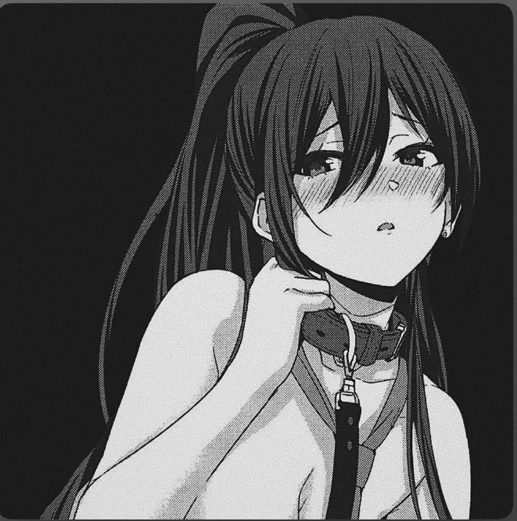 Lf mono source: 1girl, ponytail, collar