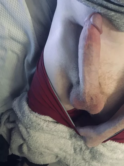 Lick Daddy from balls to tip.