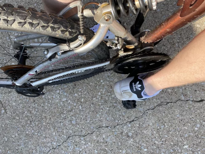 Lick my heel clean when I’m back. Maybe I’ll reward you with a big whiff.