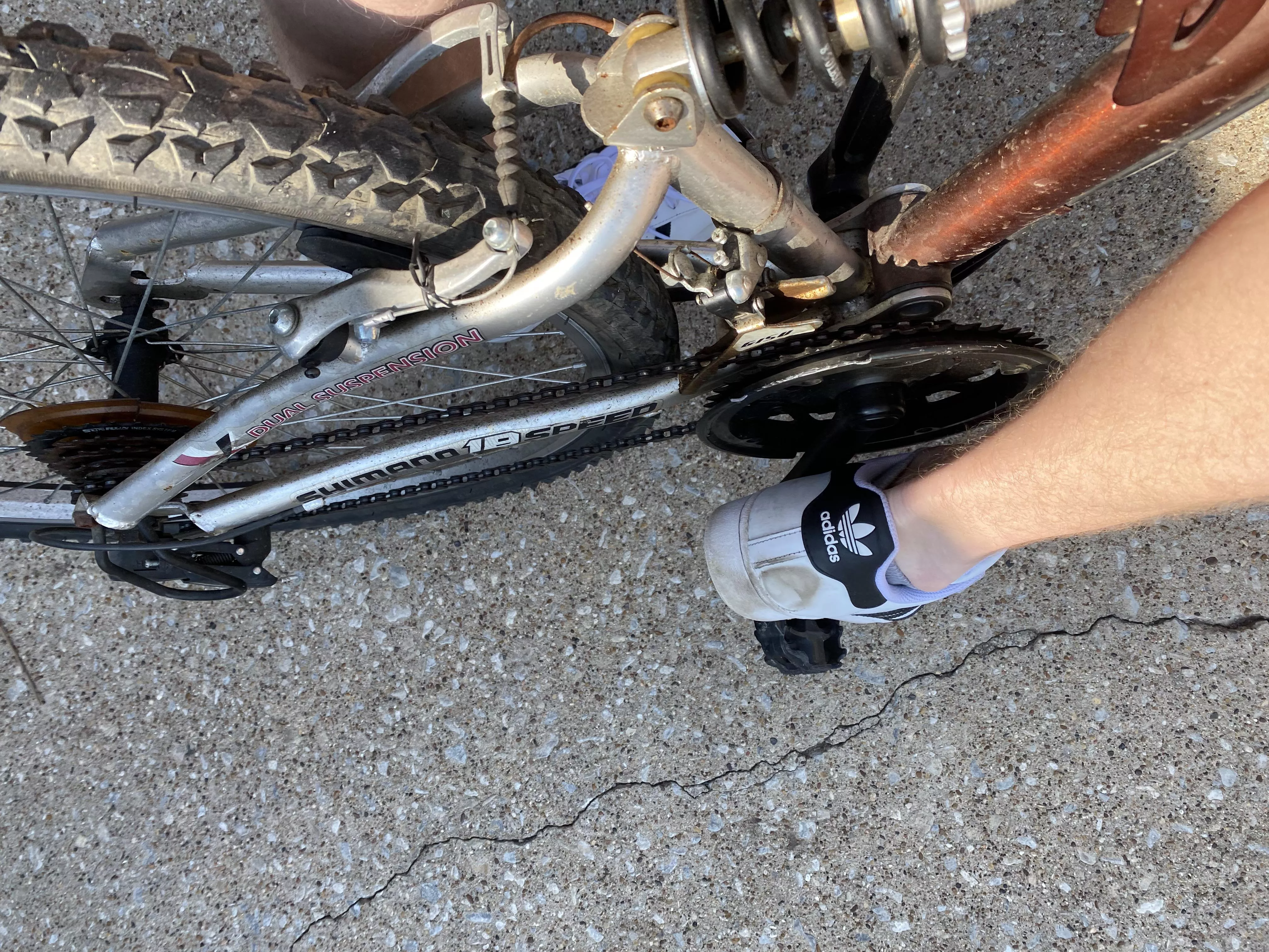 Lick my heel clean when I’m back. Maybe I’ll reward you with a big whiff.