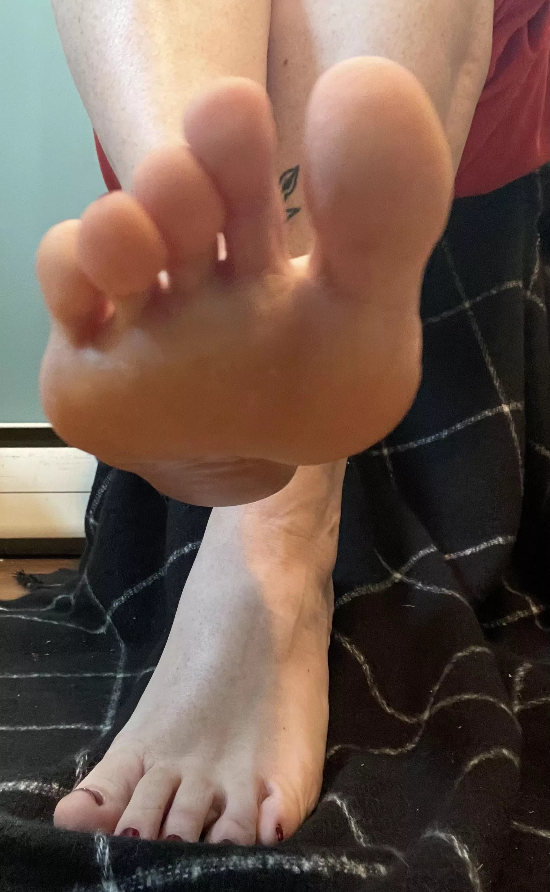 lick these toesies!!