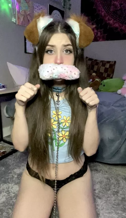 Lil pup just wants to play Sir 🐶🐾