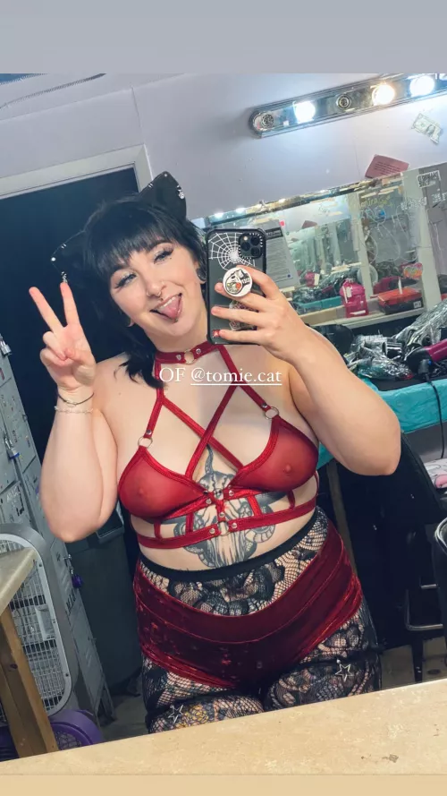 Little kitty can’t wait to leave work and go home to get pets 🖤