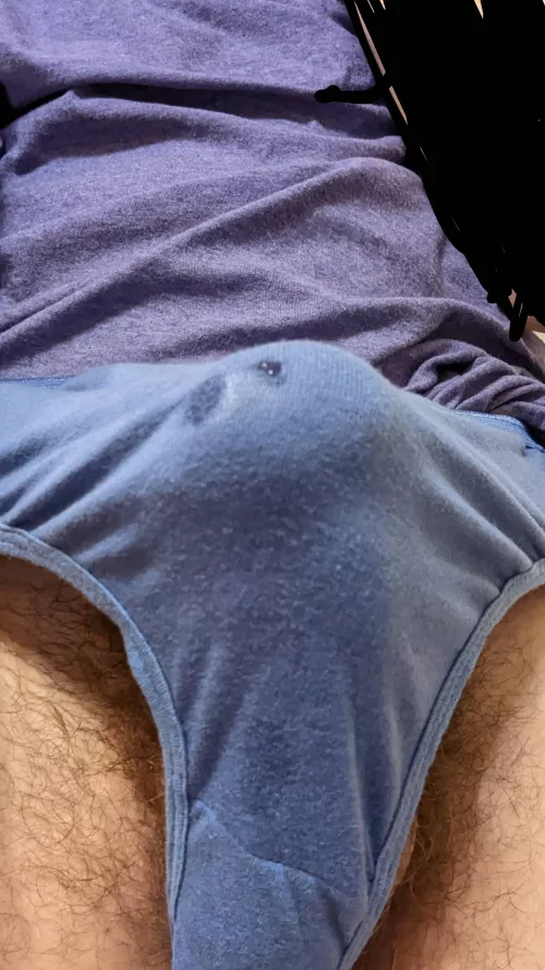 Little Wet and hard in panties [OC]