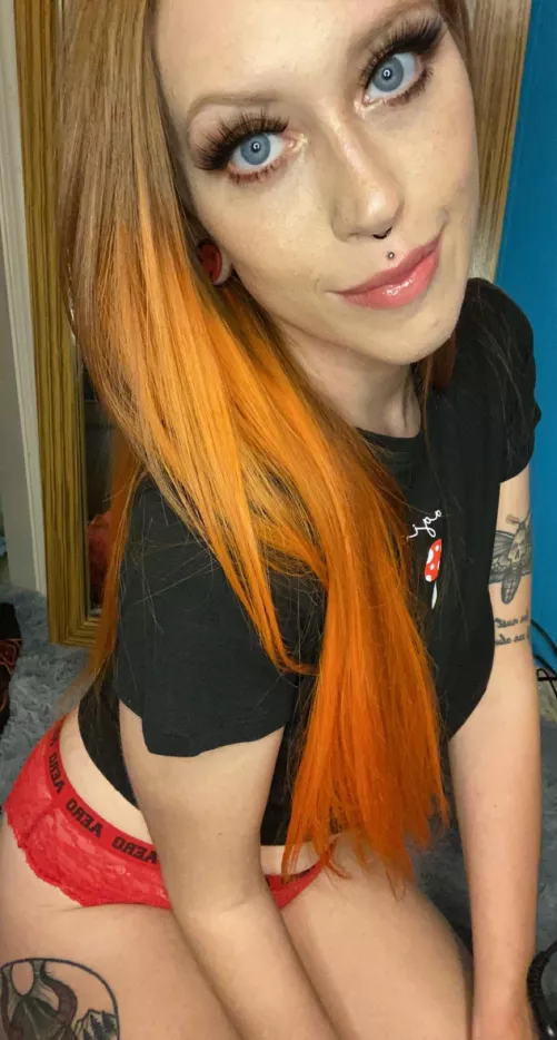 living mushrooms eat dead people π