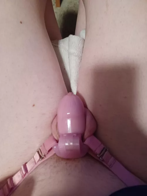 locked up on a no touch for the night. would love to be sent porn to keep me frustrated 💜