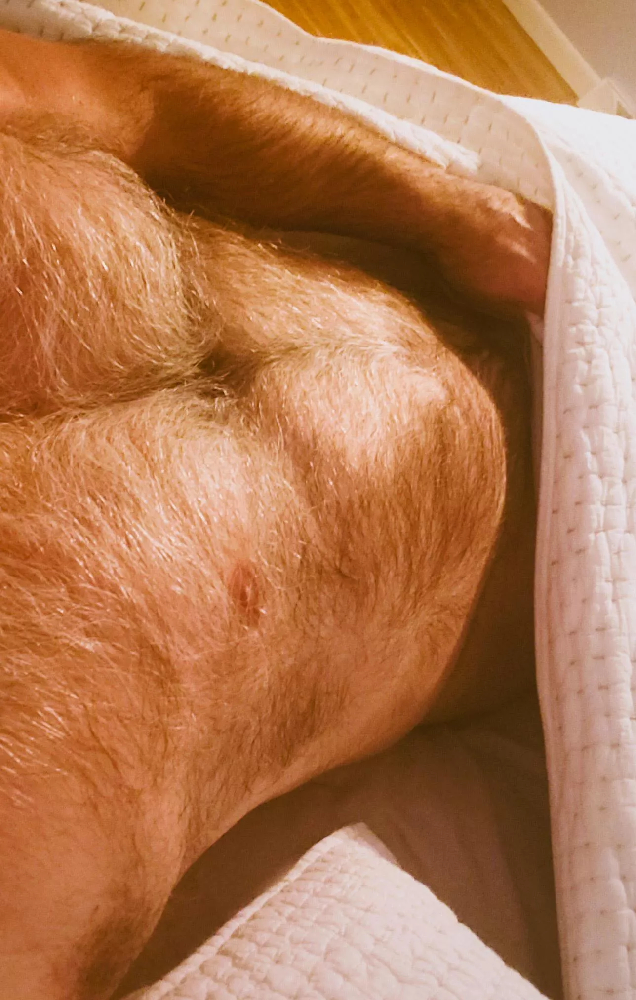 Long weekends are built for staying in bed. So, let's. 😘