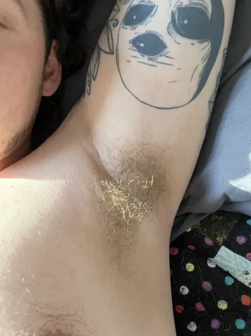 Look a bit blonde today