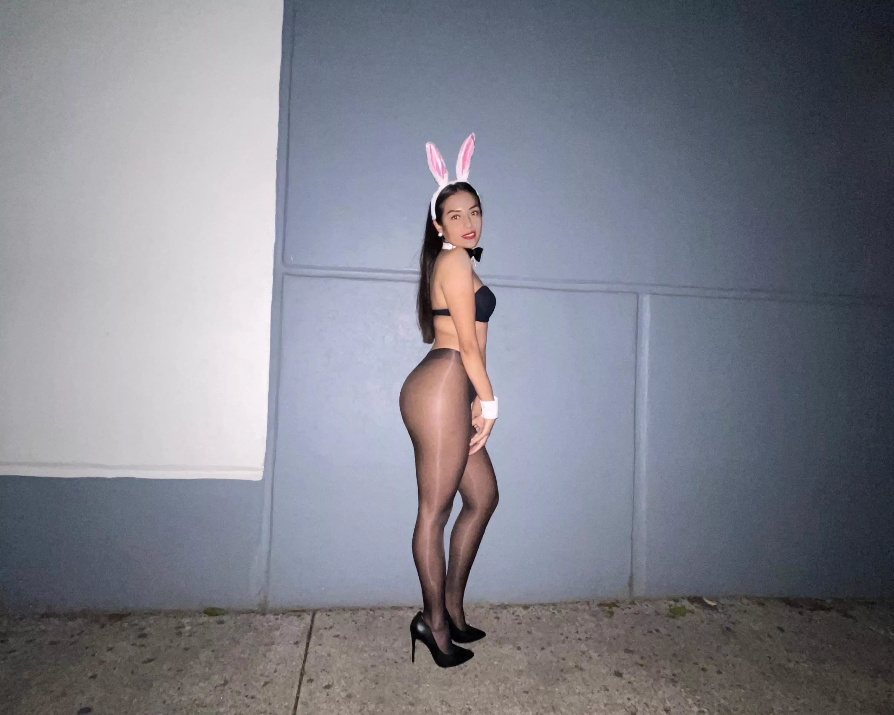 lost rabbit in the city 😘