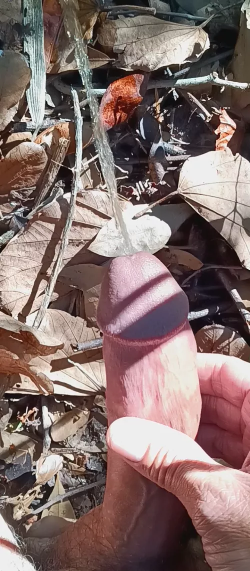 Love peeing out in the sun!