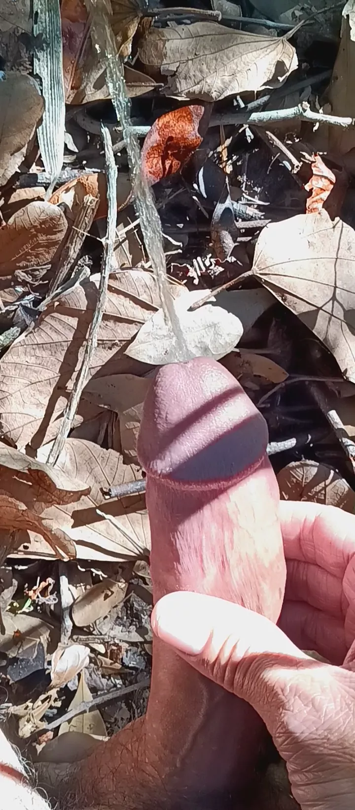 Love peeing out in the sun!