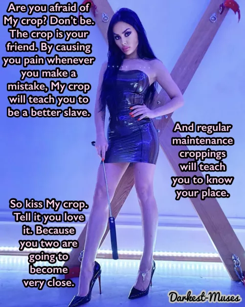 LOVE THE CROP [Darkest-Muses]