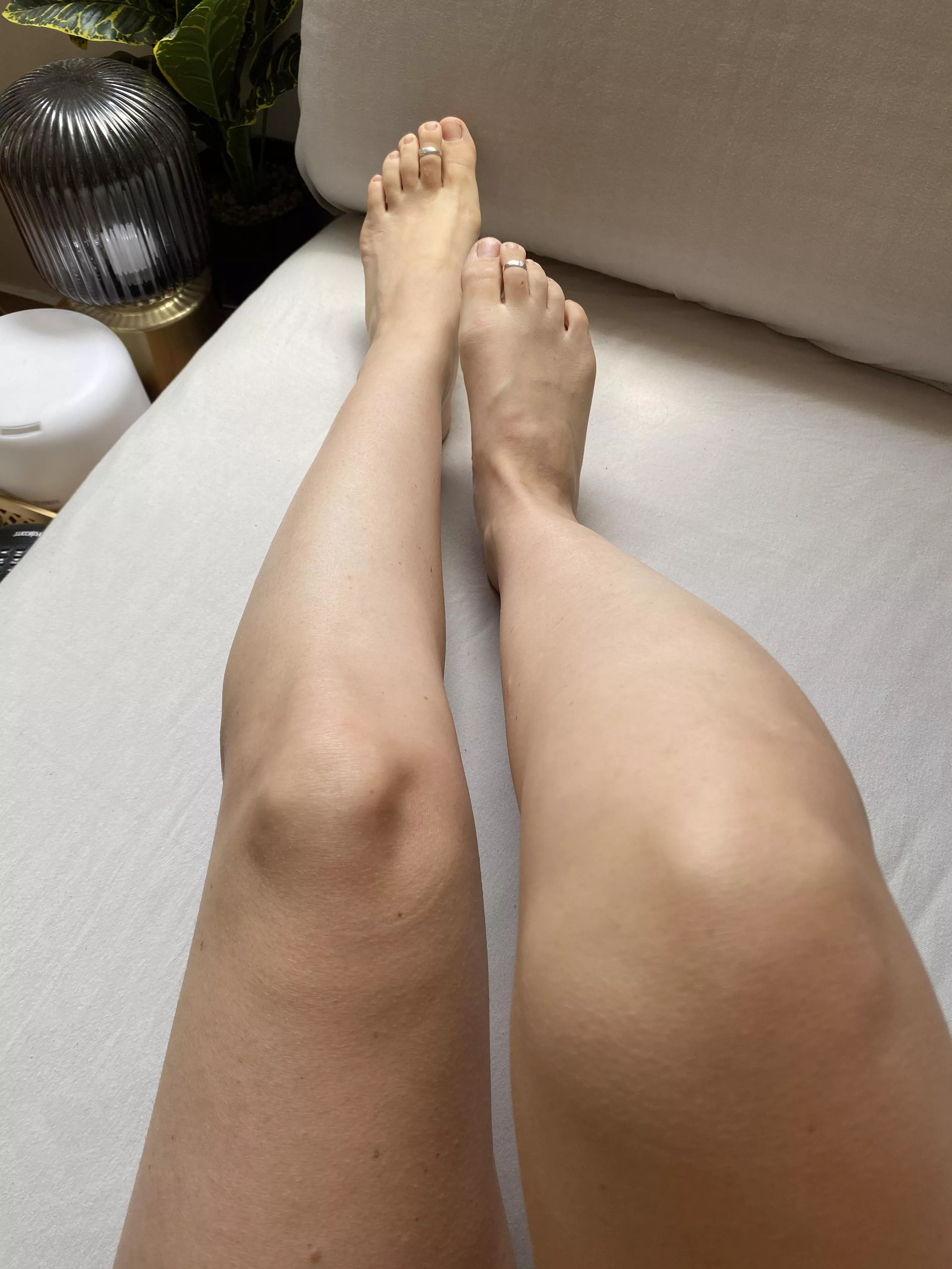 Love this morning glow who’s coming for cuddles?