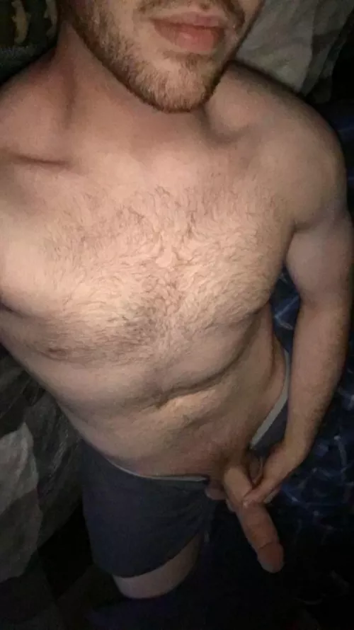 M 23 Dm me rate my cock and possibly help me get off, laying in bed currently