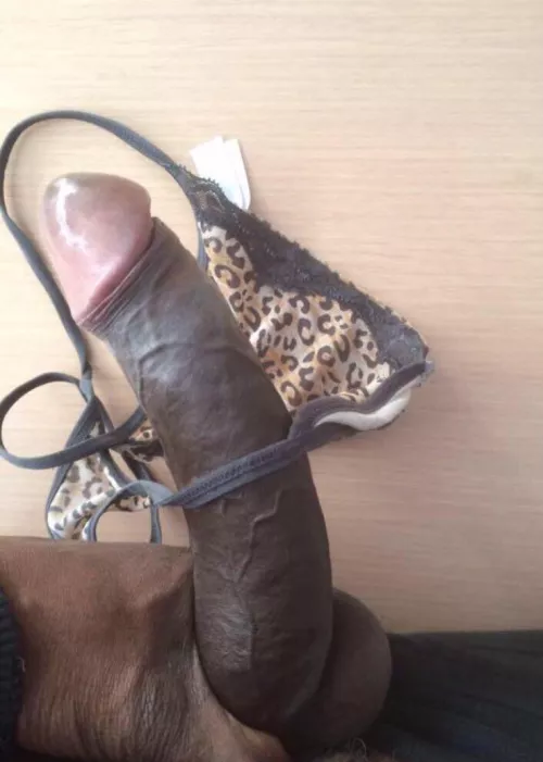 Made to breed sissies