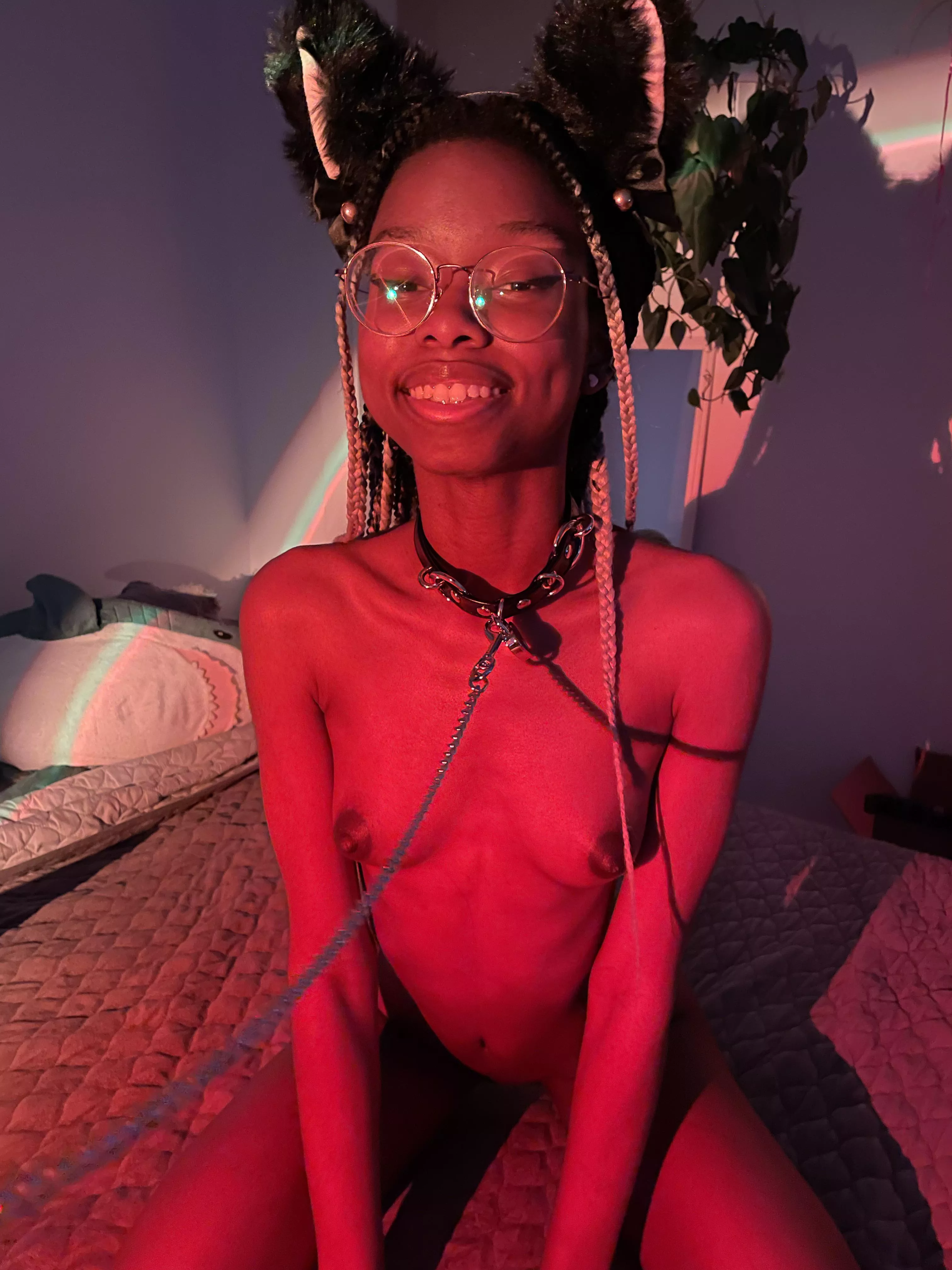 Make this kitty purr