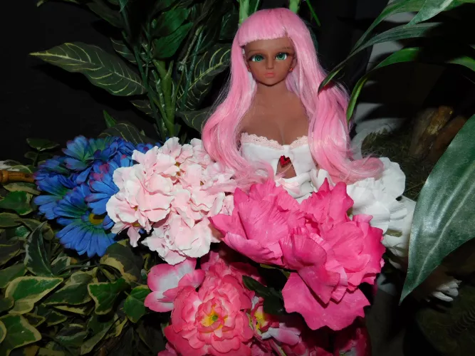 Masami Catches Aiko Playing In Our Flowers Again! 🕵️‍♀️