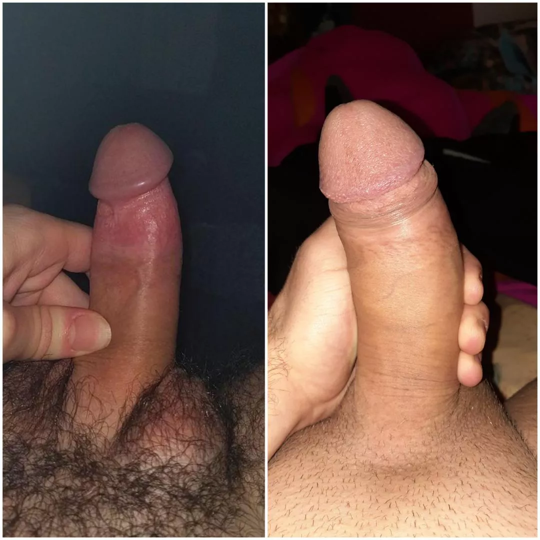 me and byecuriousdog and we think we are similar. Which one prefer?