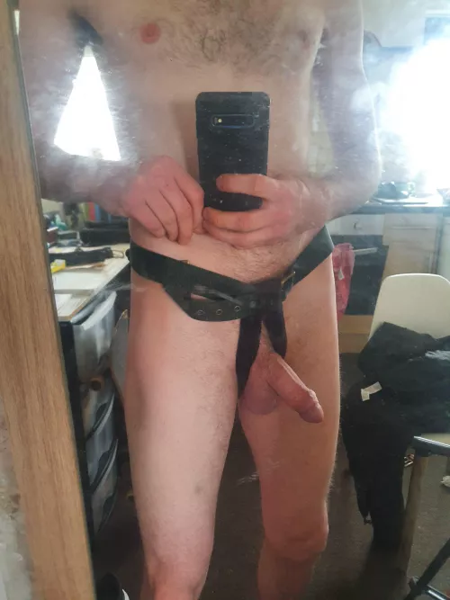 me in my home harness for my vibrating butt plug to.time to go for a walk