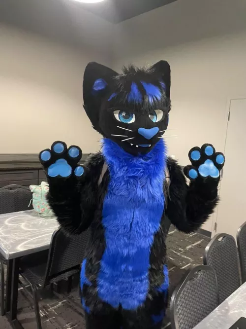 Meee-ow! 💙✨