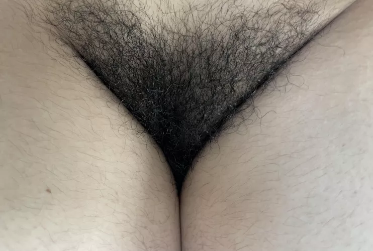 Months without shaving