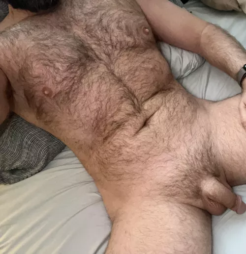 Morning all! Are bi-bears allowed? (33)