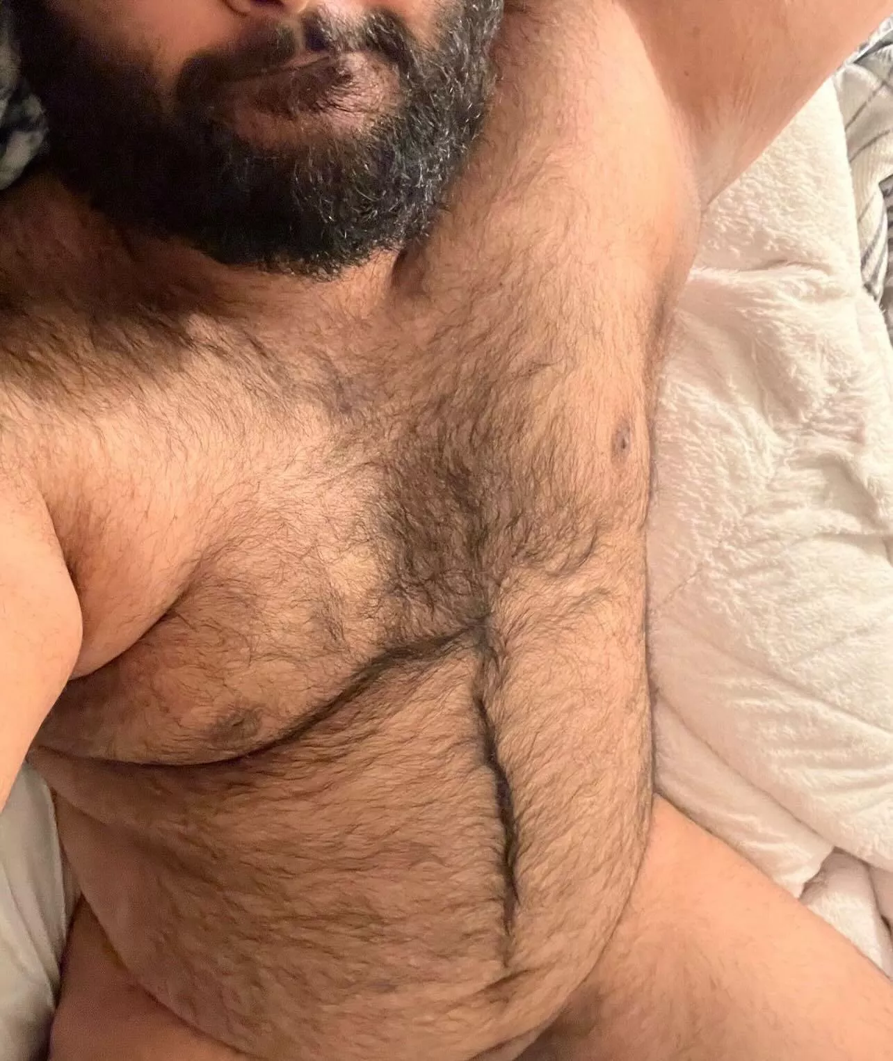 Morning bears