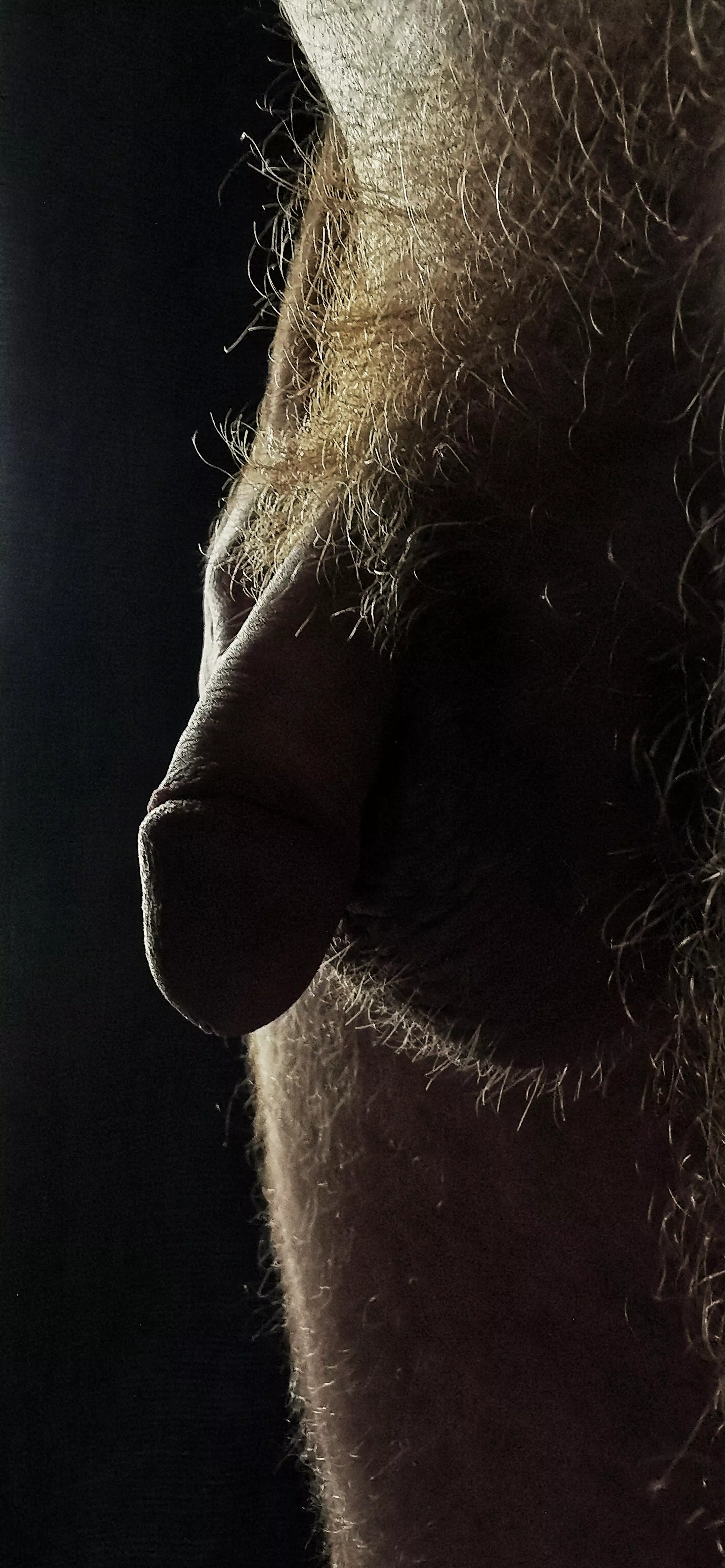 Morning light 🌄🤍