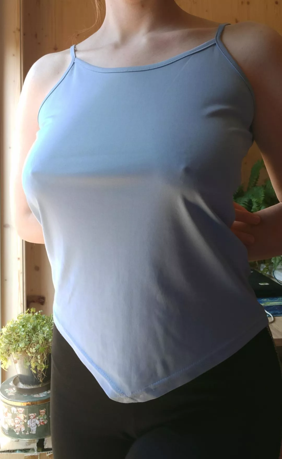 morning pokies! also don't mind my plant, she's okay