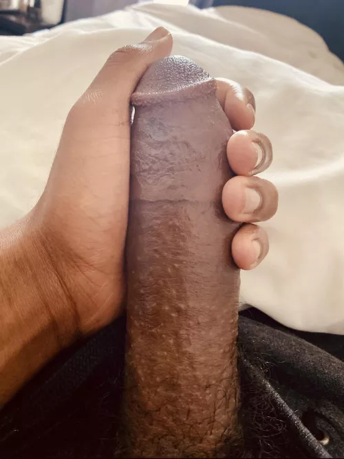 morning wood