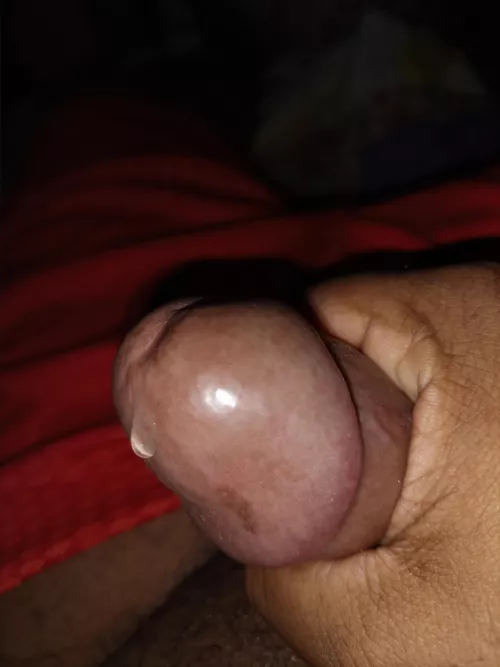 Morning wood and leaking!