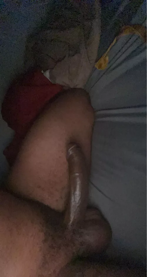 Morning Wood 😈
