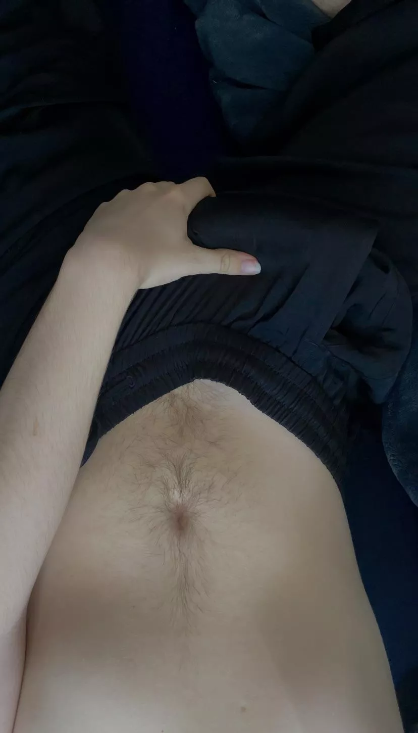 Morning wood just won’t quit