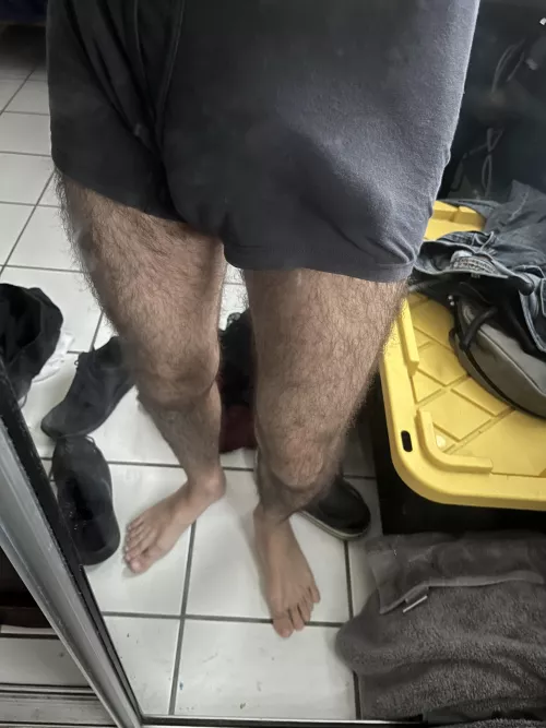 Morning wood outline